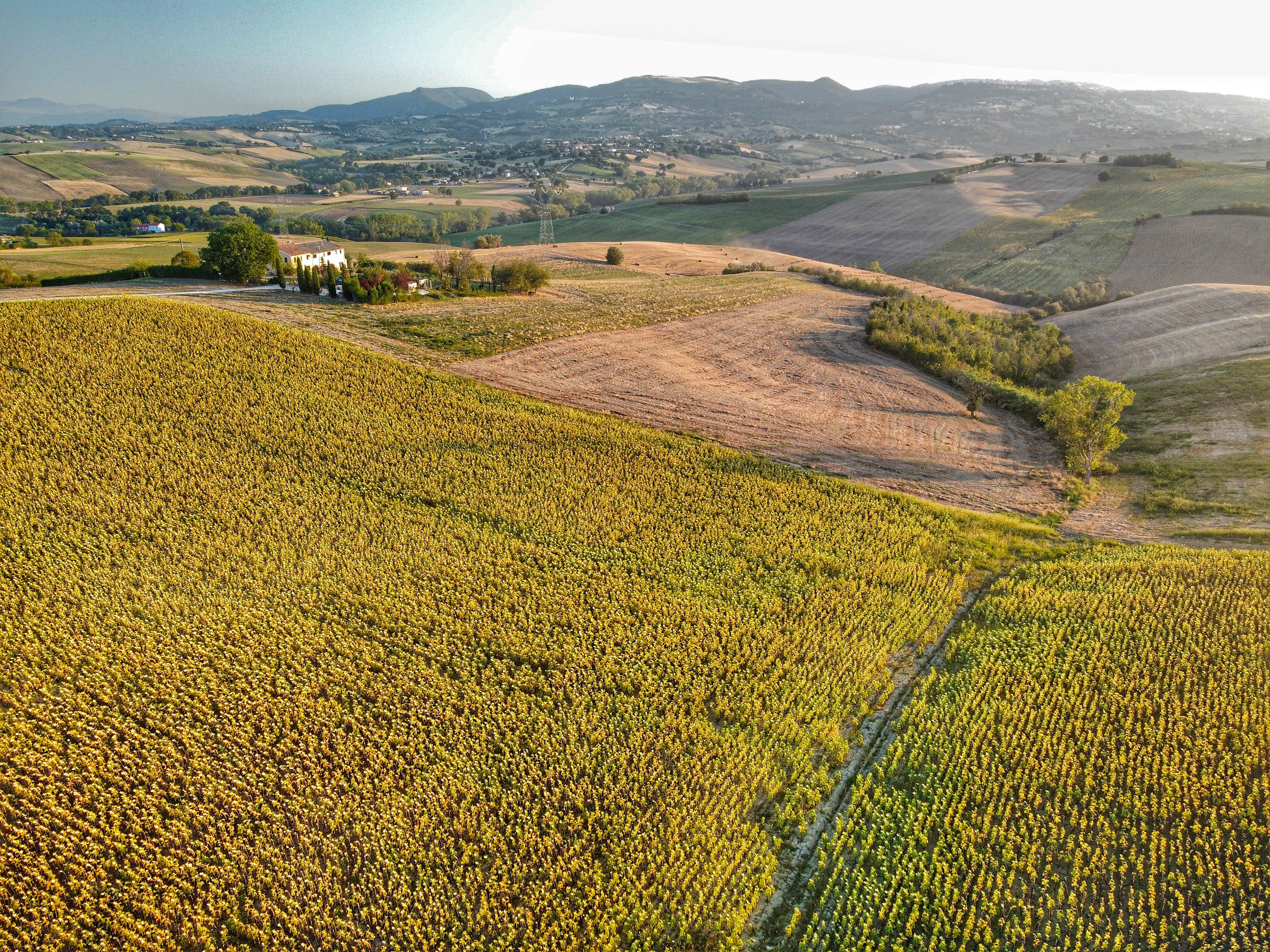dji_fly_20260731_195024_815_1785523049722_photo_optimized-01